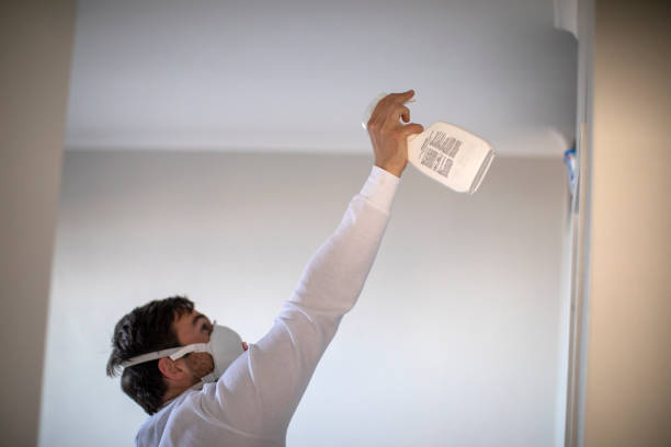 Best Emergency Mold Remediation in Bishopville, SC