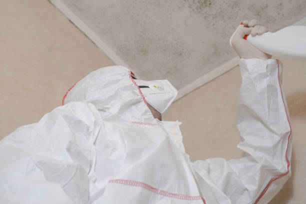 Best Attic Mold Remediation in Bishopville, SC
